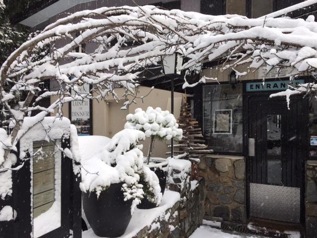 Black Bear Inn Thredbo Exterior photo